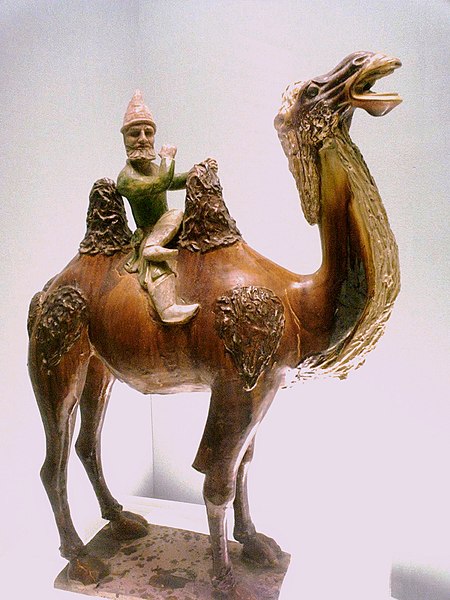 File:Westerner on a camel.jpg