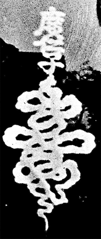 麻省理工学院可视化文化