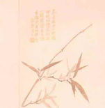 唐菖蒲面料 — 十样锦