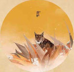 烟树黄 — 黄栌