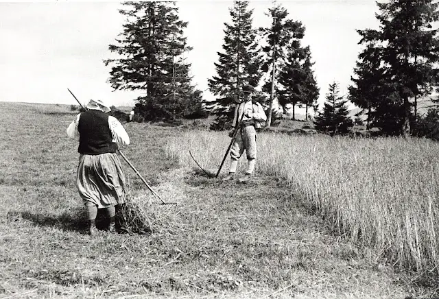 乌克兰Boiko服装概述