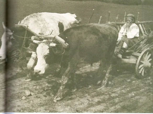 乌克兰Boiko服装概述