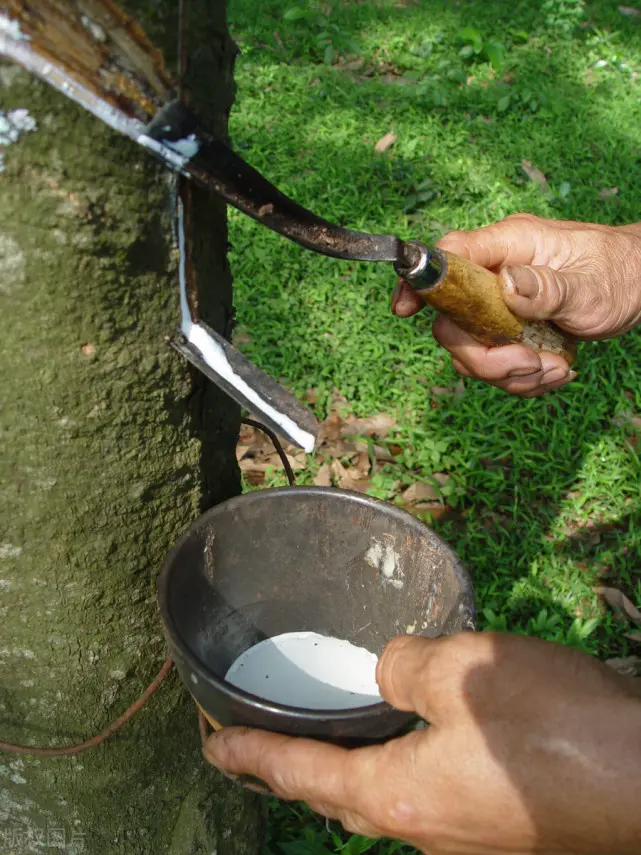 志愿军解放鞋的前世今生：造一双鞋，至少5道工序，有3大优点