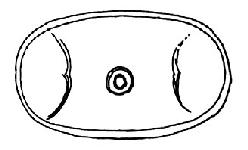 良渚文化（约公元前3100年至公元前2200年）