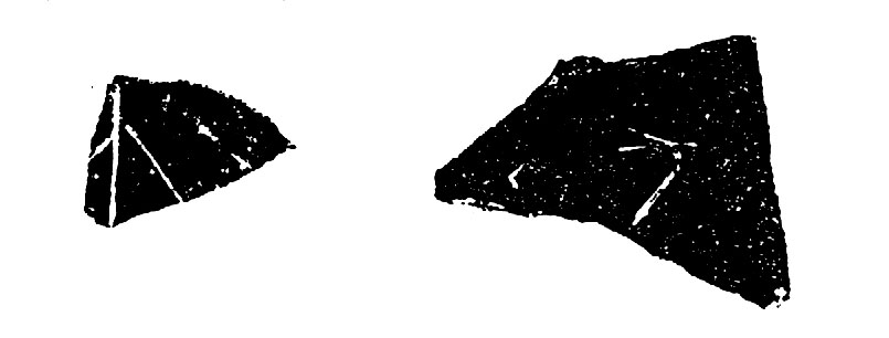 北辛文化(B.C.5300~B.C.4400)