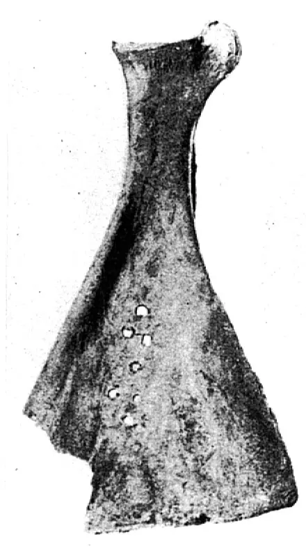 赛克文化（公元前2000年左右~）