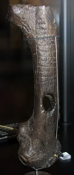 北欧的冰河时代猎人