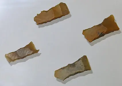 北欧的冰河时代猎人