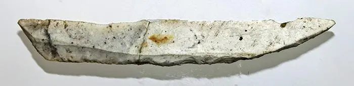 北欧的冰河时代猎人