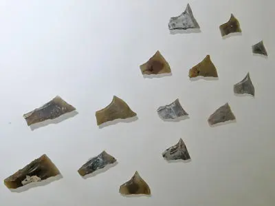 北欧的冰河时代猎人