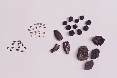 关于绳文时代-日本