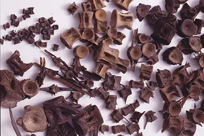 关于绳文时代-日本