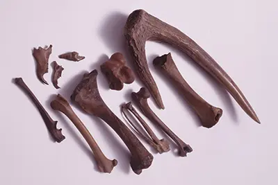 关于绳文时代-日本