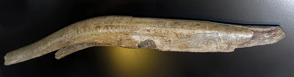 北欧的冰河时代猎人