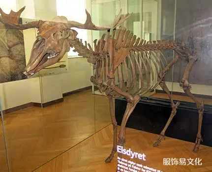 北欧的冰河时代猎人