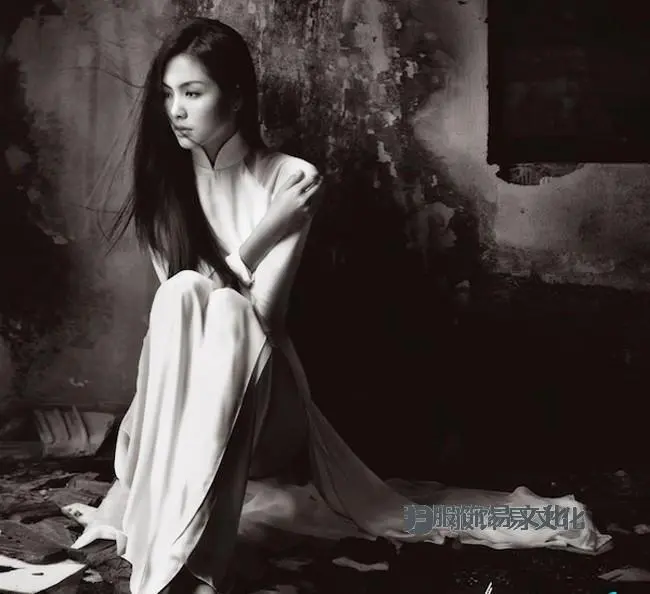 越南奥黛各个时期的发展史