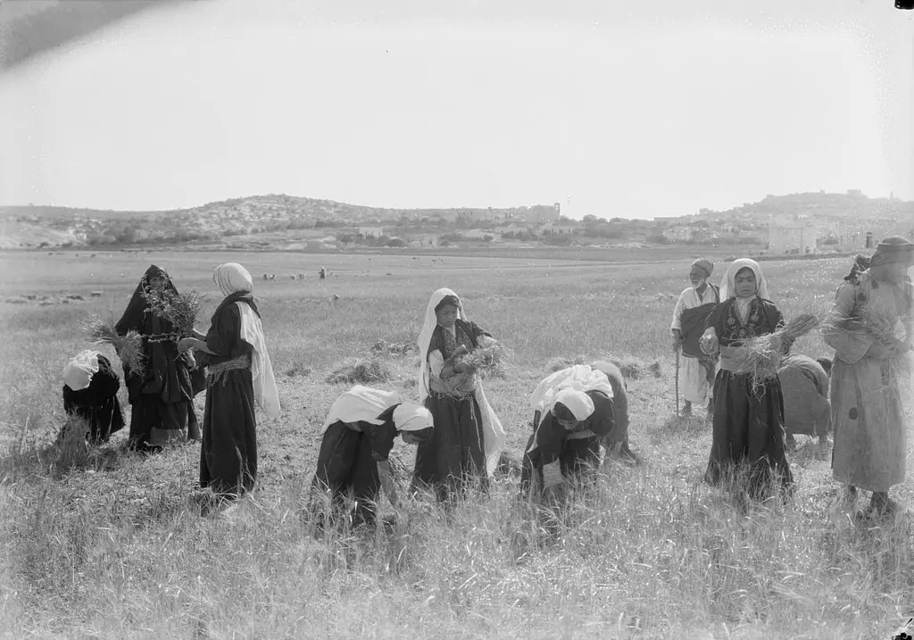 巴勒斯坦的传统服饰