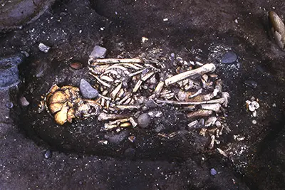 关于绳文时代-日本