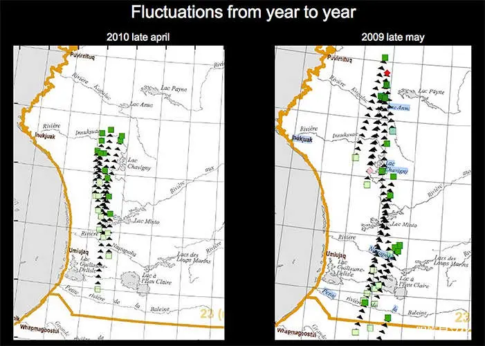 北欧的冰河时代猎人