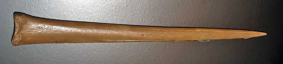 北欧的冰河时代猎人