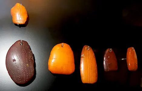 北欧的冰河时代猎人