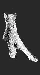 赛克文化（公元前2000年左右~）