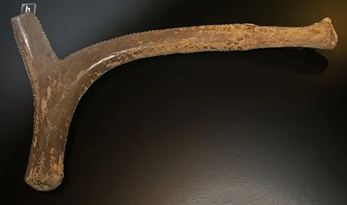 北欧的冰河时猎人