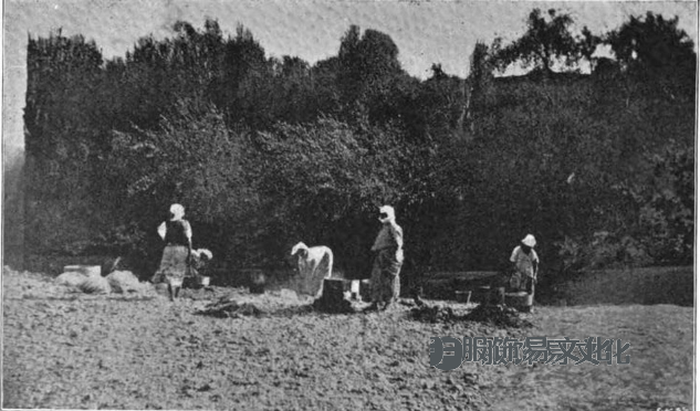 摩尔人和阿拉伯服装，1906 年