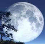 月白——Yue Bai(月白)