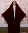 穆斯林妇女服装的不同名称及其不同含义