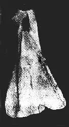 赛克文化（公元前2000年左右~）