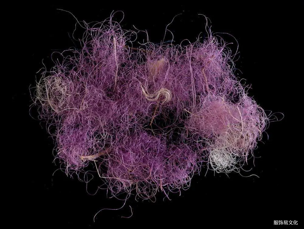 3000年历史的绒毛