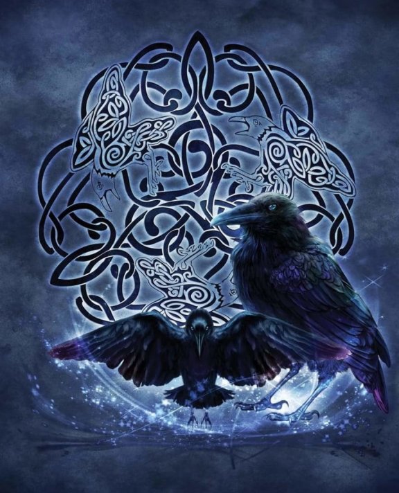 奥丁的乌鸦