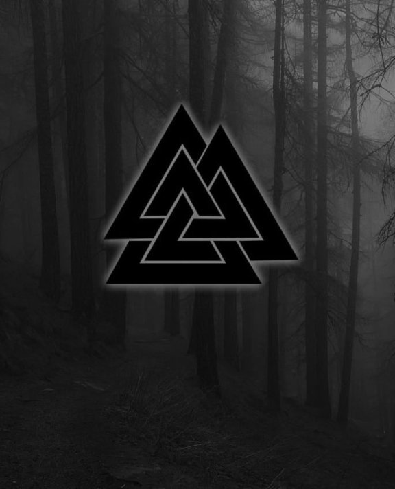 维京图案-VALKNUT