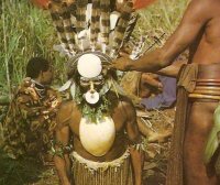 编织时代之前的服装:史前和原始服装