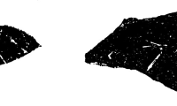 北辛文化(B.C.5300～B.C.4400)