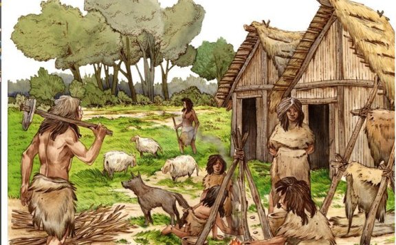 新石器时代文化