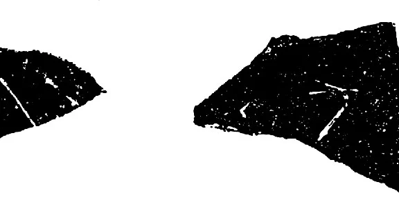 北辛文化(B.C.5300～B.C.4400)