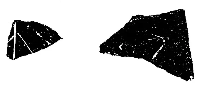 北辛文化(B.C.5300~B.C.4400)