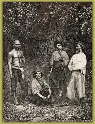 19世纪台湾平埔人