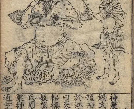 农书/王祯农书(元)