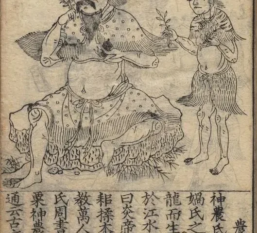 农书/王祯农书(元)