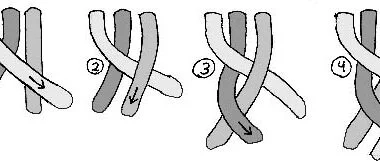 中世纪3 股和 4 股辫子