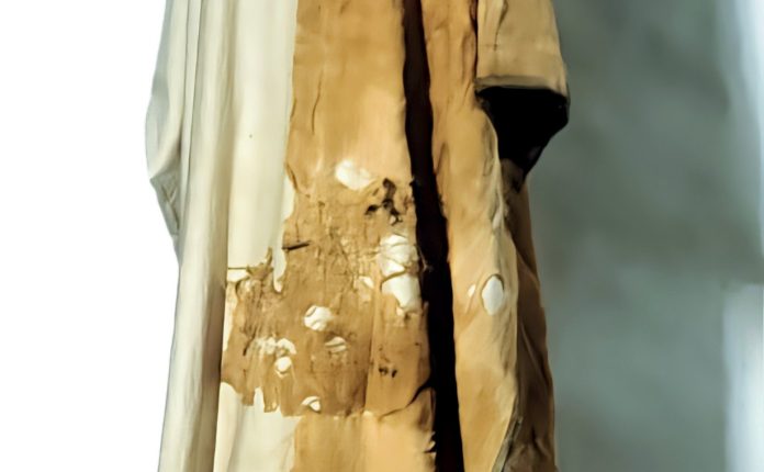 Carter's 亚麻束腰外衣-古埃及